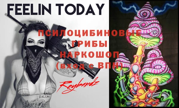 молекула духа Алексеевка