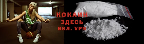 соль ск Абаза
