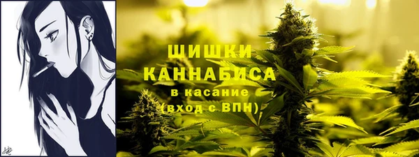 соль ск Абаза